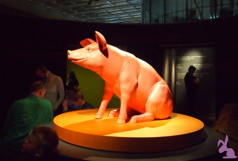 ISS-WAS-Ausstellung-Schwein